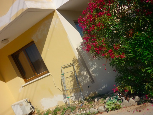 half and half.JPG P1030560