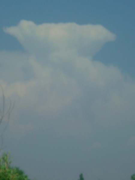 Spinny top.JPG P1030704