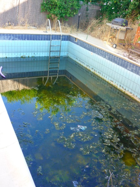 My future pool????.JPG P1030912