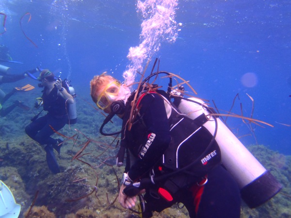 PA230009.JPG PA230009