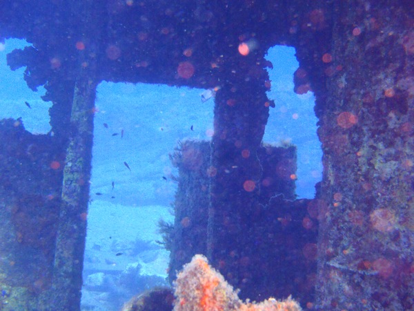 PA230054.JPG PA230054