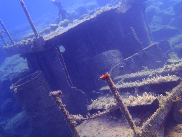 PA230060.JPG PA230060