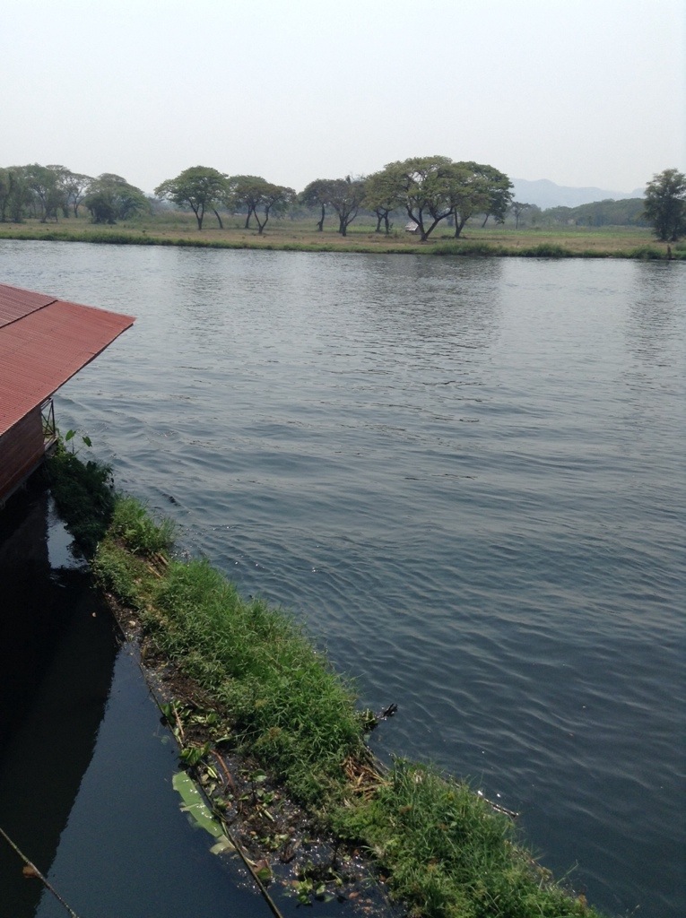 20140303-133450.jpg